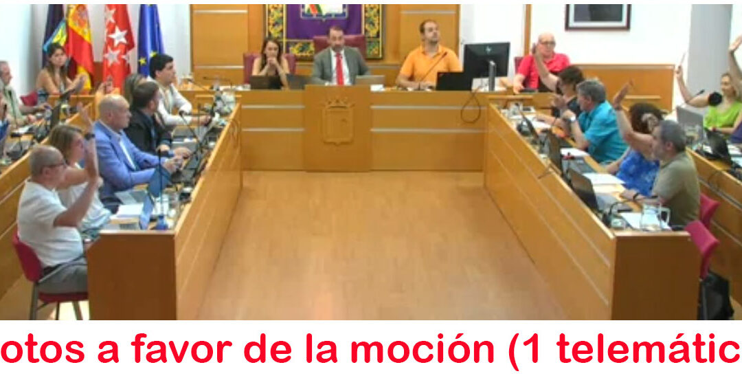 El Pleno Ordinario de junio