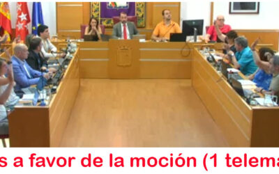El Pleno Ordinario de junio
